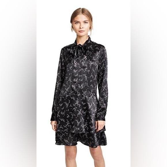 Silk dress equipment - Picture 3 of 4